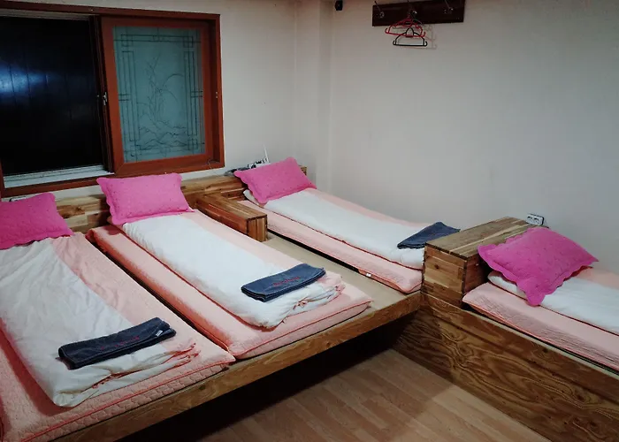 Bong Backpackers Seúl