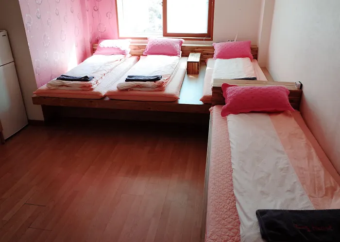 Bong Backpackers Seúl